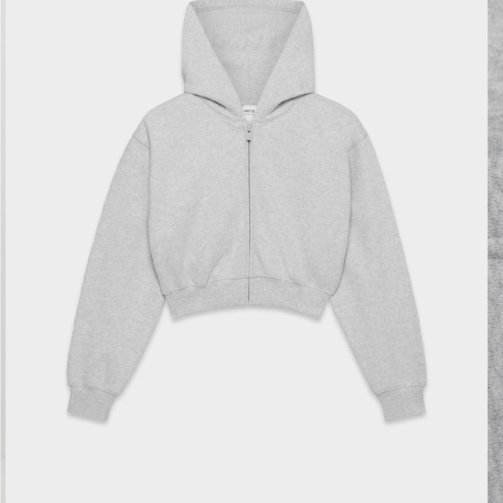 Aritzia Light Gray Sweatfleece Hoodie